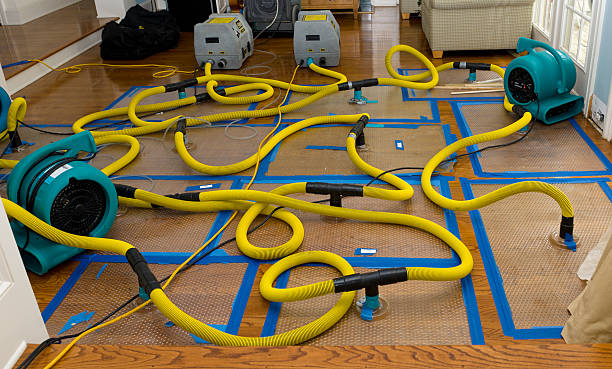 Professional Water Extraction technician working in Fresno, CA